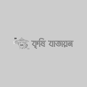 ধনিয়া পাতার দাগ রোগ