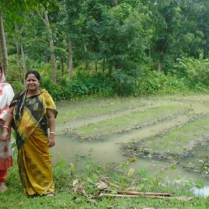 ভাসমান বীজতলা